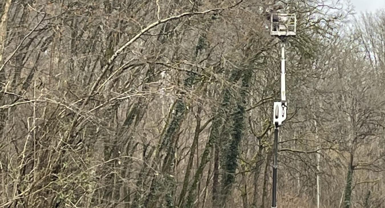 Élagage avec camion nacelle
