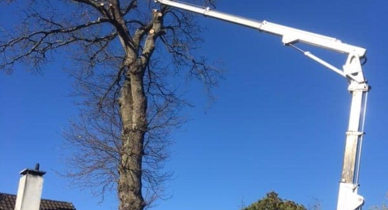 Élagage et abattage avec camion nacelle