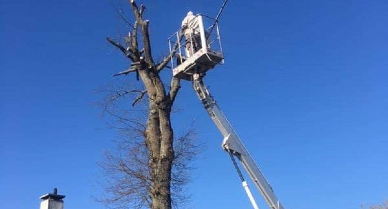 Élagage et abattage avec camion nacelle